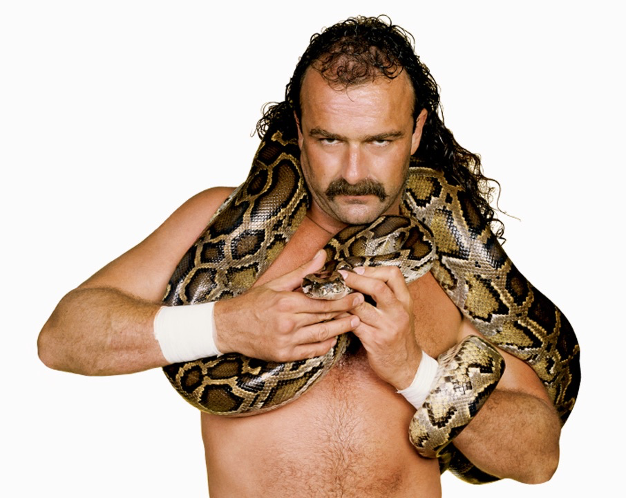 Jake "The Snake" Roberts